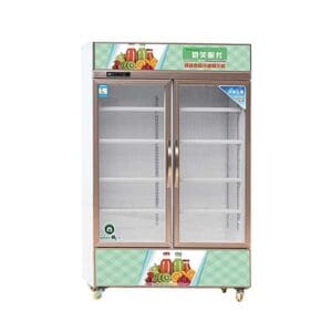 Tủ trưng bày 2 cửa